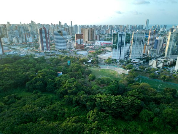 Découvrez comment obtenir facilement votre carte grise à saint-denis