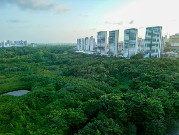 L'intelligence artificielle au service des RH : une révolution indispensable ?